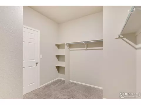 949 Camberly Ct, Windsor, CO 80550 photo 17
