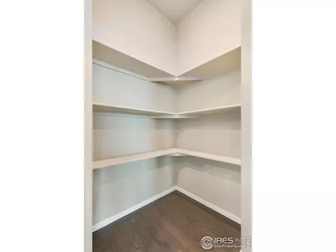 949 Camberly Ct, Windsor, CO 80550 photo 10