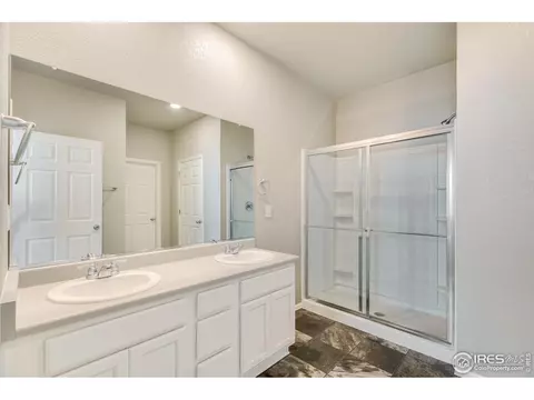 949 Camberly Ct, Windsor, CO 80550 photo 15