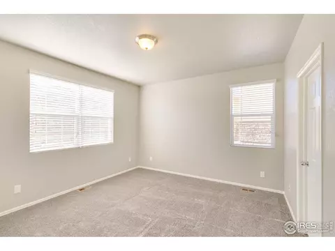949 Camberly Ct, Windsor, CO 80550 photo 13