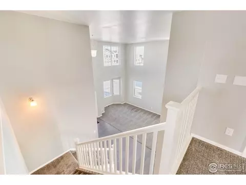 6097 Gannet Dr, Timnath, CO 80547 photo 14