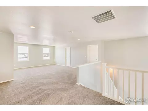 6097 Gannet Dr, Timnath, CO 80547 photo 15