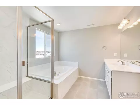 6097 Gannet Dr, Timnath, CO 80547 photo 20