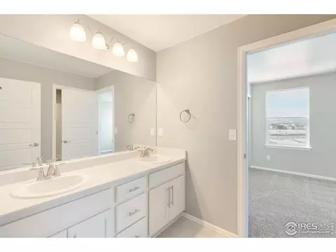 6097 Gannet Dr, Timnath, CO 80547 photo 26