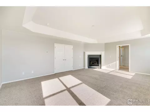 6097 Gannet Dr, Timnath, CO 80547 photo 19