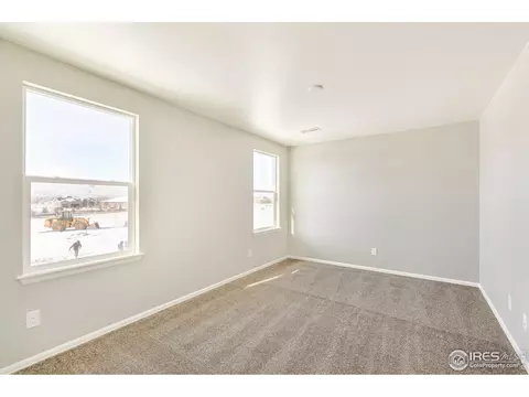 6097 Gannet Dr, Timnath, CO 80547 photo 23