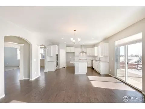 6097 Gannet Dr, Timnath, CO 80547 photo 10