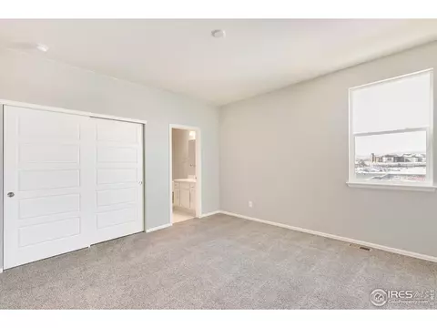 6097 Gannet Dr, Timnath, CO 80547 photo 13