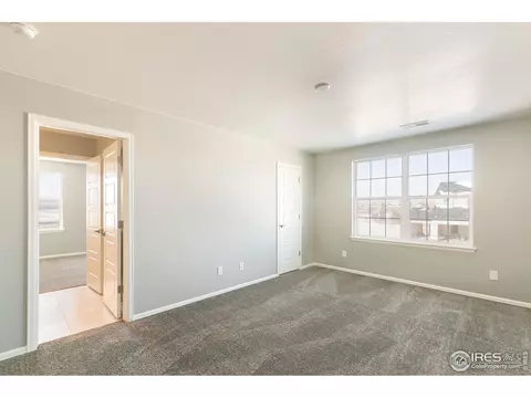 6097 Gannet Dr, Timnath, CO 80547 photo 27