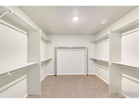6097 Gannet Dr, Timnath, CO 80547 photo 22