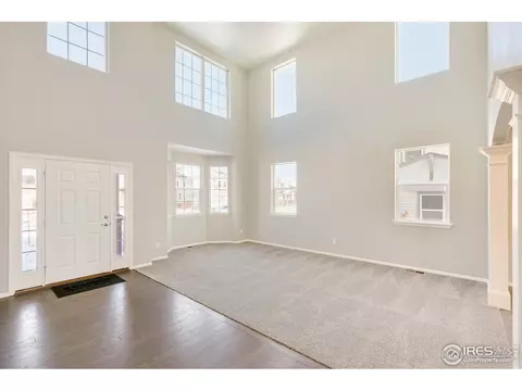 6097 Gannet Dr, Timnath, CO 80547 photo 3