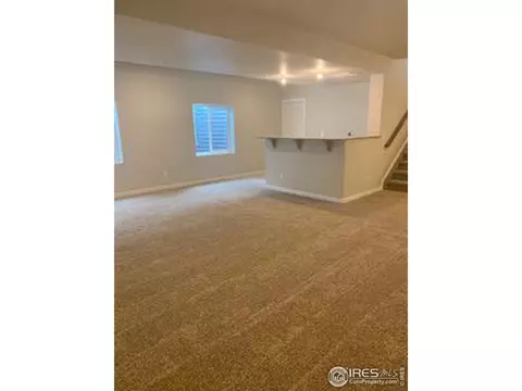 5529 Maidenhead Dr, Windsor, CO 80550 photo 14