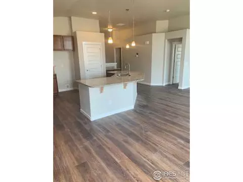 5529 Maidenhead Dr, Windsor, CO 80550 photo 9
