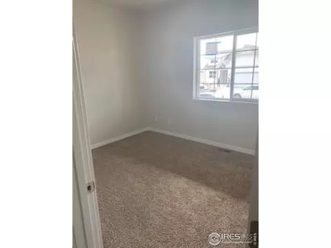 5529 Maidenhead Dr, Windsor, CO 80550 photo 4