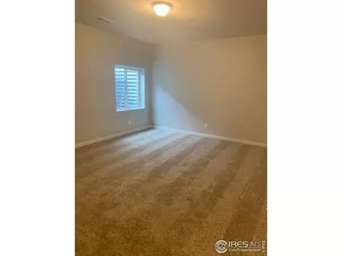 5529 Maidenhead Dr, Windsor, CO 80550 photo 13