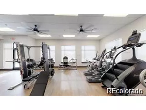 6375 E 141st Ave, Thornton, CO 80602 photo 15