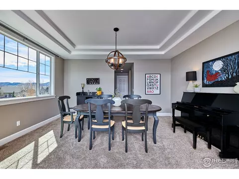 7733 Secrest Ct, Arvada, CO 80007 photo 19