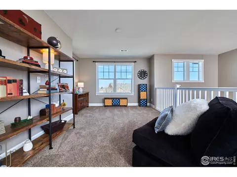 7733 Secrest Ct, Arvada, CO 80007 photo 24