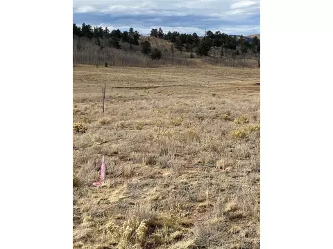 157 Crow Ct, Como, CO 80432 photo 17