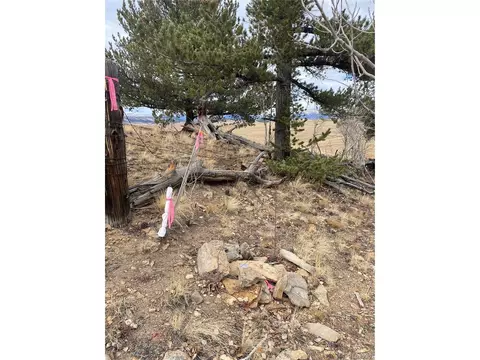 157 Crow Ct, Como, CO 80432 photo 16