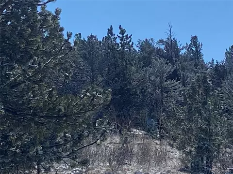 157 Crow Ct, Como, CO 80432 photo 31
