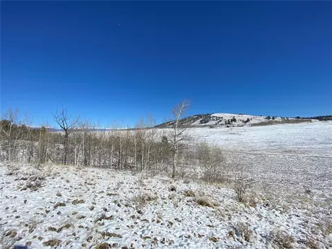 157 Crow Ct, Como, CO 80432 photo 23