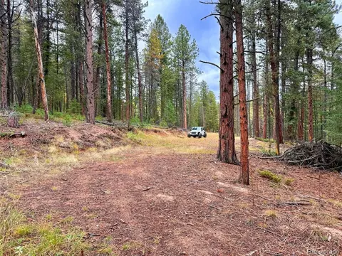 7 Wallace Ave, Conifer, CO 80433 photo 3