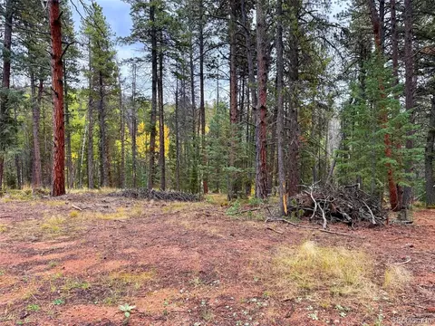 7 Wallace Ave, Conifer, CO 80433 photo 27