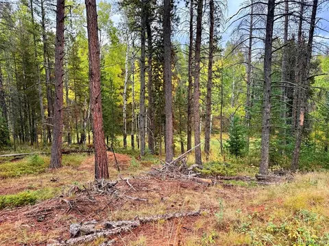 7 Wallace Ave, Conifer, CO 80433 photo 13