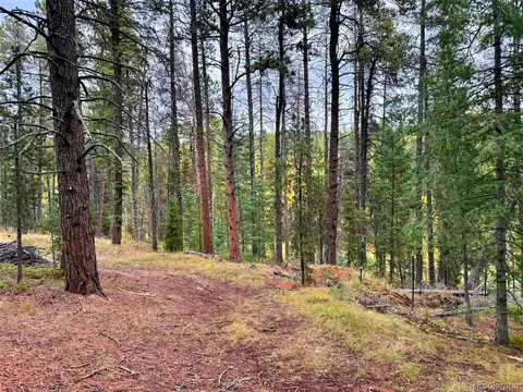 7 Wallace Ave, Conifer, CO 80433 photo 22