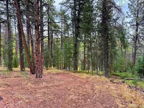 7 Wallace Ave, Conifer, CO 80433 photo 24