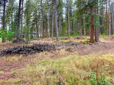 7 Wallace Ave, Conifer, CO 80433 photo 19