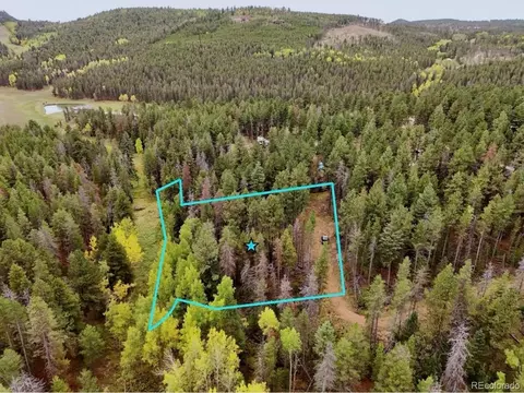 7 Wallace Ave, Conifer, CO 80433 photo 12