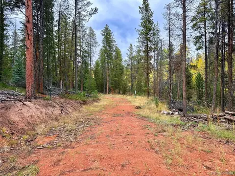 7 Wallace Ave, Conifer, CO 80433 photo 10