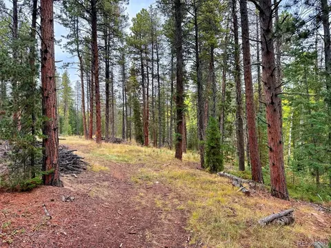 7 Wallace Ave, Conifer, CO 80433 photo 21