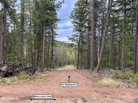 7 Wallace Ave, Conifer, CO 80433 photo 9