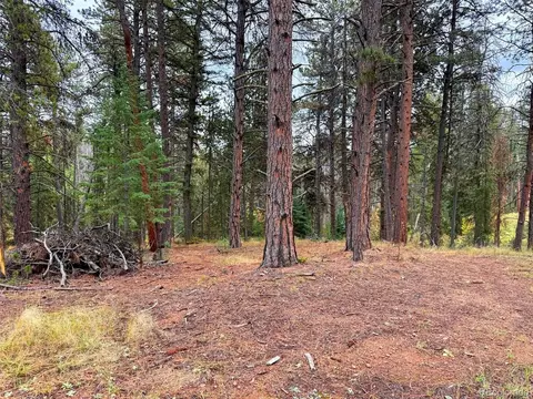 7 Wallace Ave, Conifer, CO 80433 photo 26