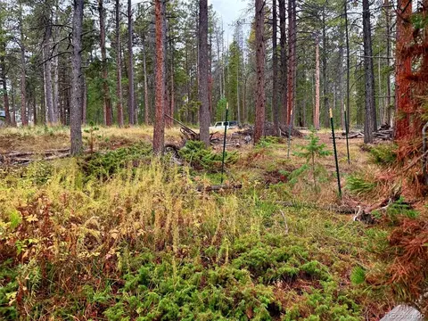 7 Wallace Ave, Conifer, CO 80433 photo 16