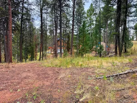 7 Wallace Ave, Conifer, CO 80433 photo 25