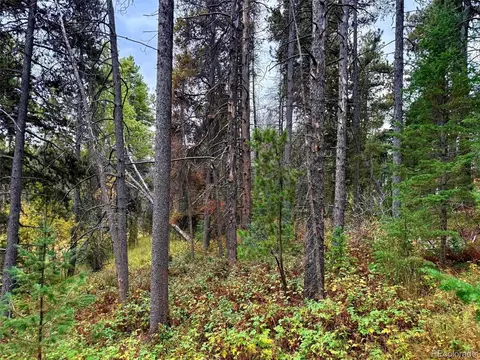 7 Wallace Ave, Conifer, CO 80433 photo 18