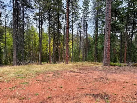 7 Wallace Ave, Conifer, CO 80433 photo 5