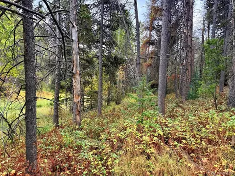 7 Wallace Ave, Conifer, CO 80433 photo 14