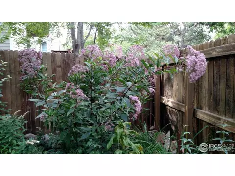 127 Huron Ct, Boulder, CO 80303 photo 32