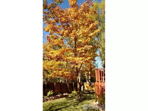 127 Huron Ct, Boulder, CO 80303 photo 34