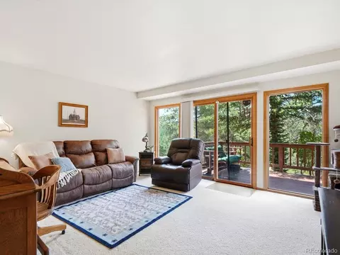 Living - 74 Badger Ln, Bailey, CO 80421 photo 5 of 5