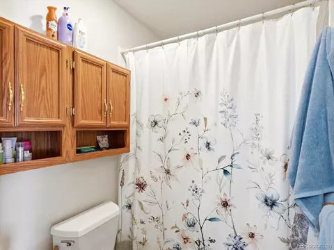 Bath - 74 Badger Ln, Bailey, CO 80421 photo 2 of 3