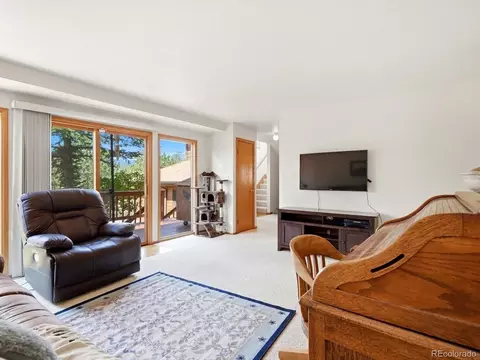 Living - 74 Badger Ln, Bailey, CO 80421 photo 4 of 5