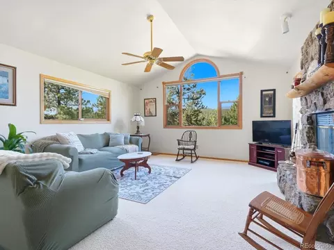 Living - 74 Badger Ln, Bailey, CO 80421 photo 1 of 5