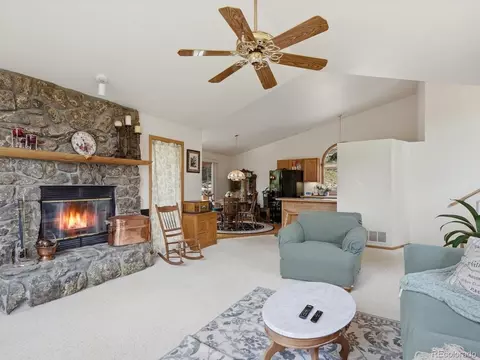 Living - 74 Badger Ln, Bailey, CO 80421 photo 3 of 5