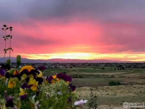 6045 Stone Chase Ct, Windsor, CO 80550 photo 29